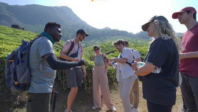 Tour del Sentiero del Tè a Munnar con Esperienza in Fabbrica (Da Munnar Info)