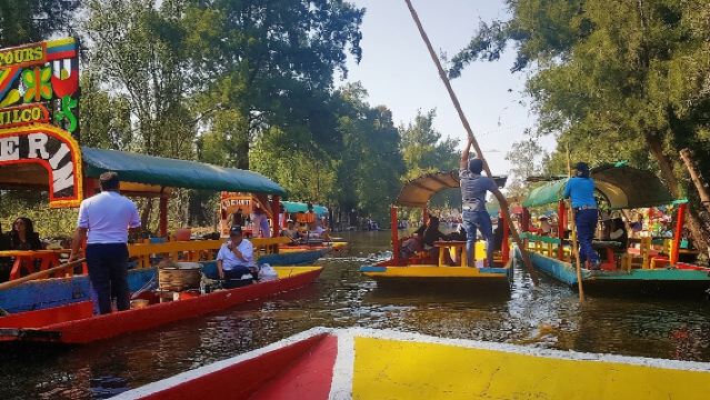 Private City Tour in Frida Kahlo, Coyoacan, and Xochimilco