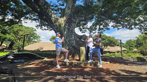 濟州市自 2008 年起首創的東部路線英文巴士導覽