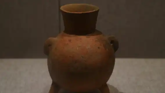 河南博物院猩咖說|含門票|文史大咖2.5H拼團精講含耳麥