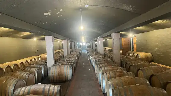 ประสบการณ์ Cape Winelands: พาร์ล, สเตลเลนบอช และฟรานช์ฮก