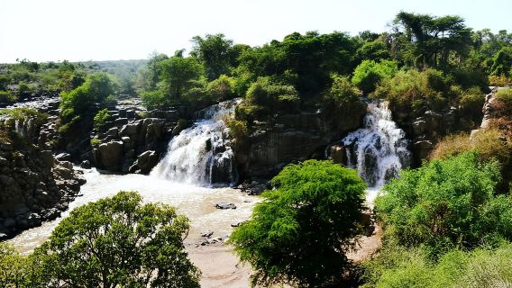 From Addis Ababa: Day Trip To Awash National Park