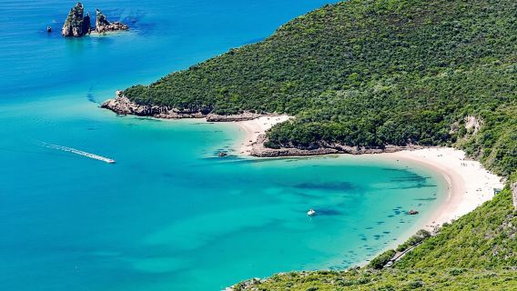 De Lisbonne : vins de la Serra da Arrábida, de Sesimbra et de Setúbal
