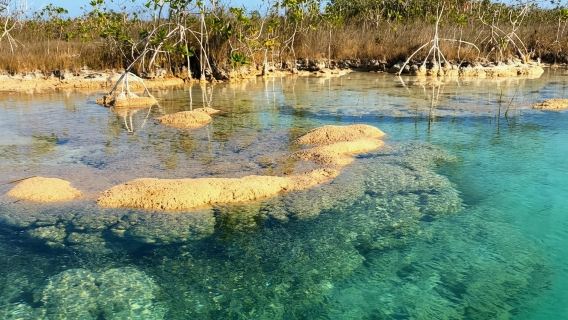 Bacalar: Herrliche exklusive Bootstour zur Bacalar-Lagune