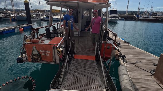 Pelayaran Bebas Halangan Berkongsi 3H dengan Ikan Lumba-lumba & Paus Penyu