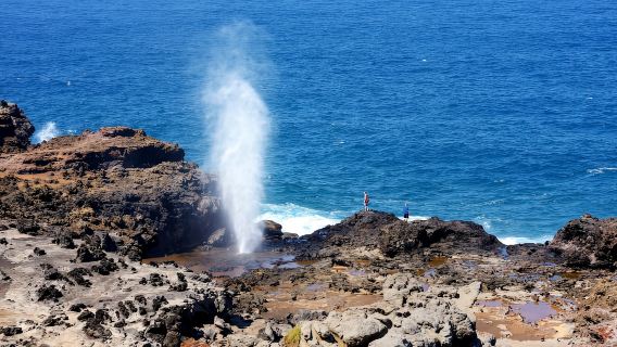 Oahu: Gran recorrido circular por la isla de Oahu