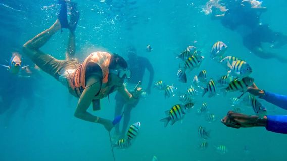 Cartagena: tour in barca delle 5 isole con sosta notturna bioluminescente