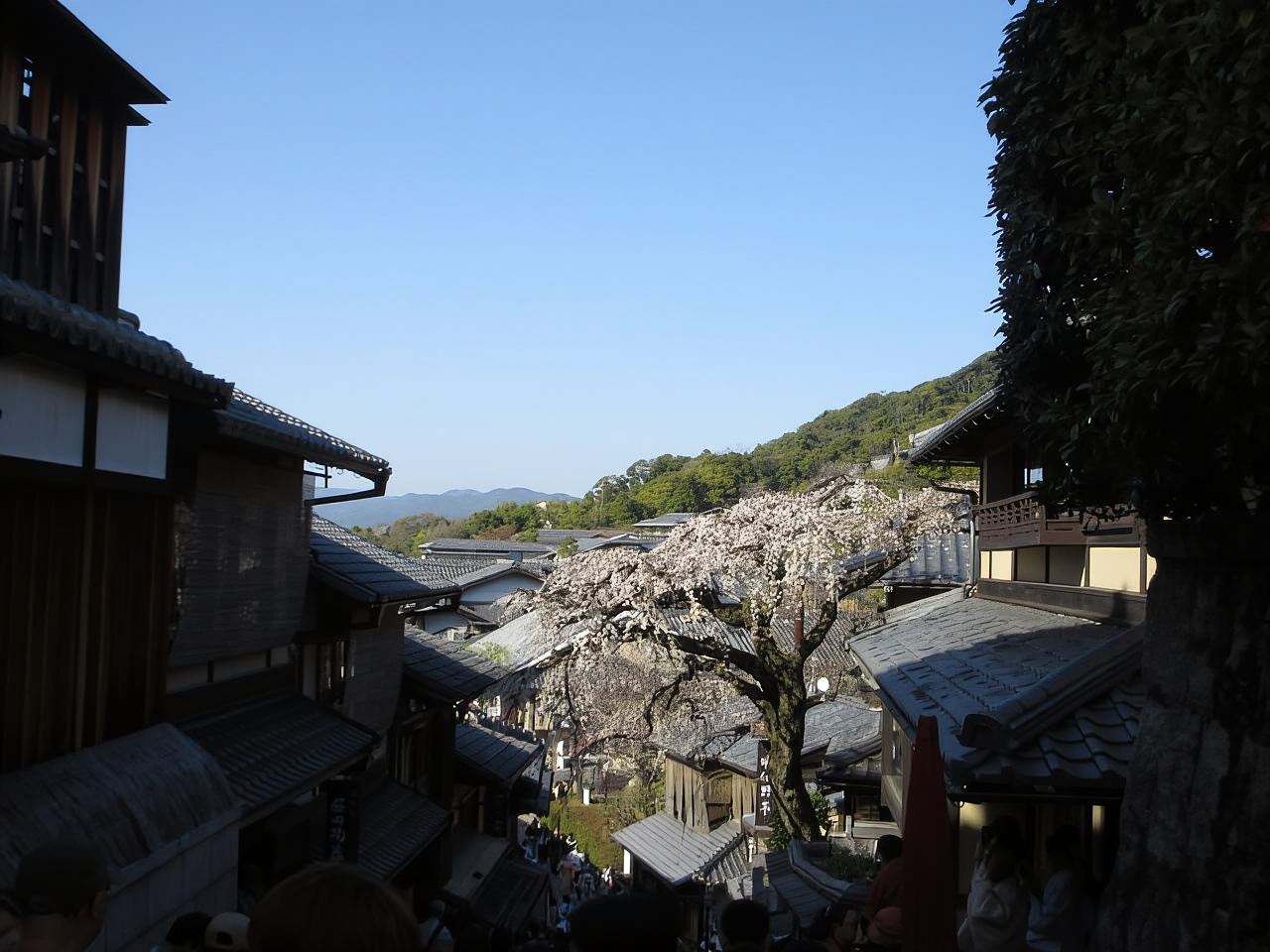 KYOTO: Tempio Kiyomizu, Pagoda e Gion "Geisha" (Guida Italiana)