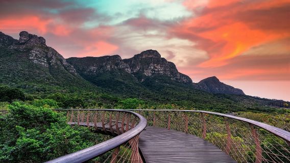 Cape Town: Kirstenbosch Botanical Garden Entry Ticket
