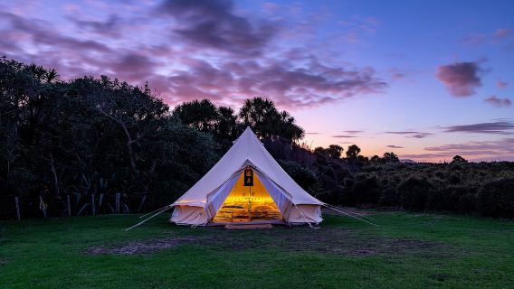 Tawharanui: tour per avvistare i kiwi e osservare le stelle con soggiorno facoltativo