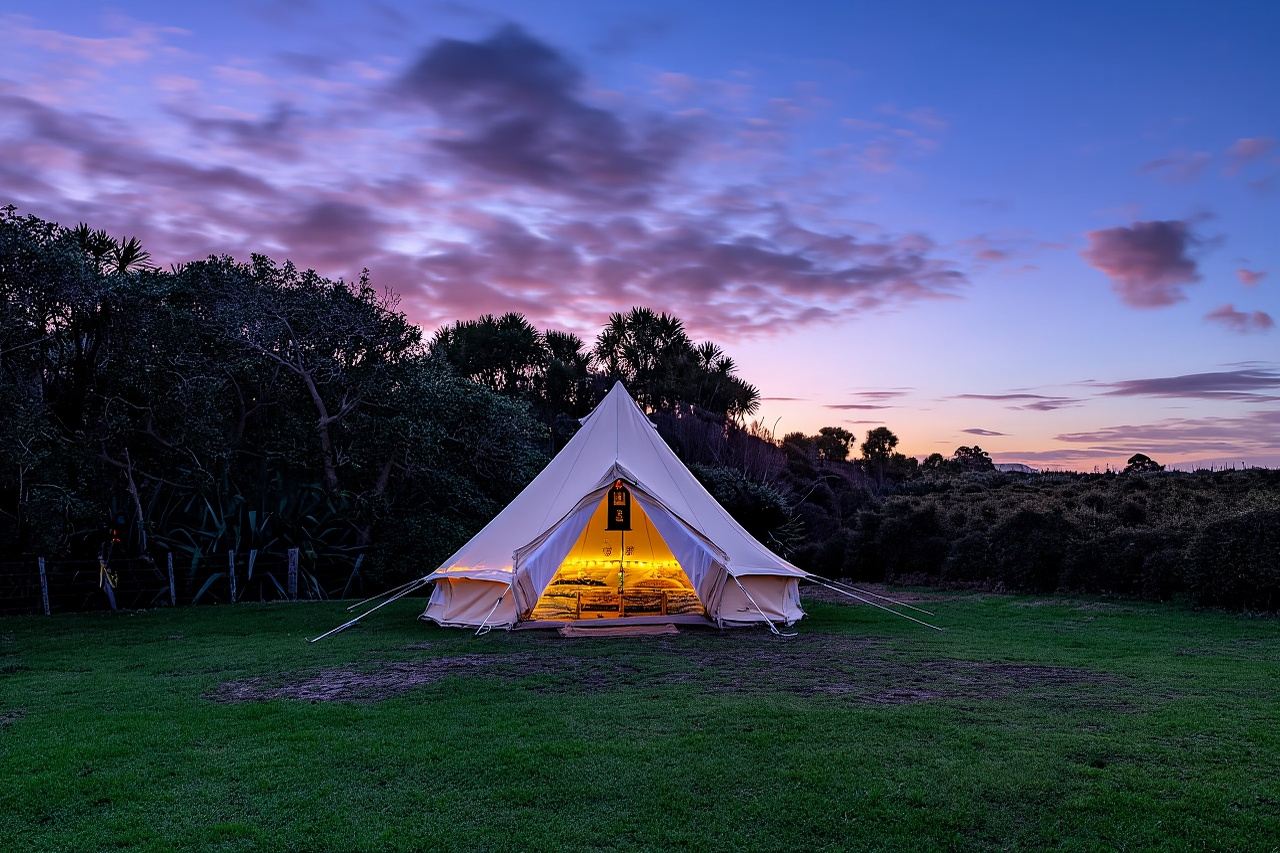 Tawharanui: Tour Avvistamento Kiwi e Osservazione Stelle con Soggiorno Opzionale