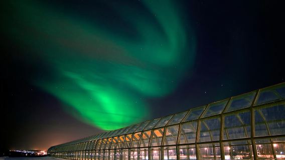 Rovaniemi: biglietto d'ingresso al centro scientifico e al museo Arktikum