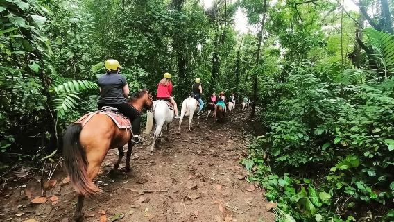 La Fortuna: paseo a caballo hasta la cascada de La Fortuna