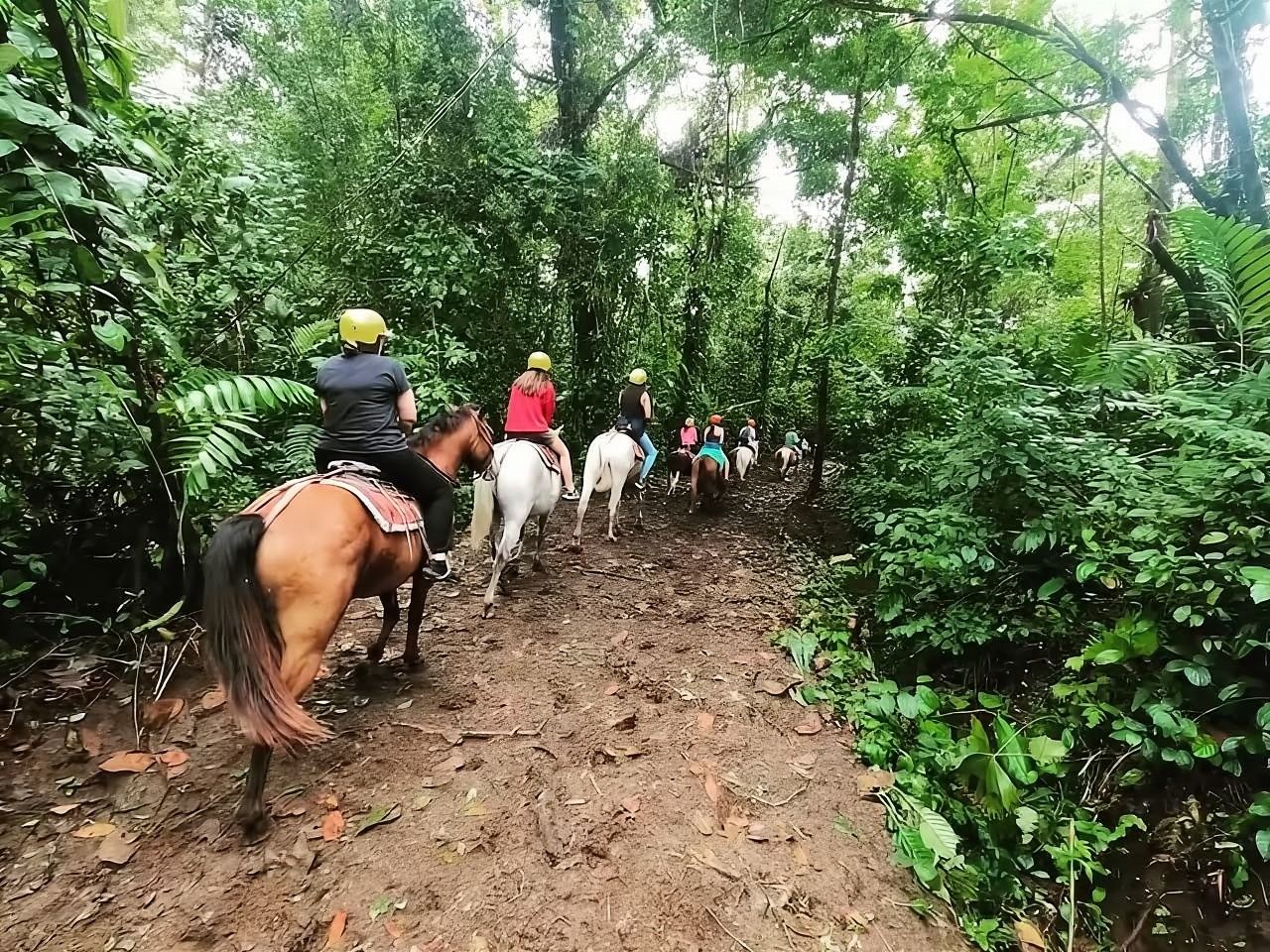 La Fortuna: Horseback Ride to La Fortuna Waterfall