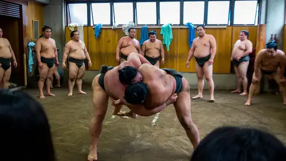 東京:相撲晨練觀看之旅