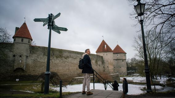 Tallinn: tour a piedi della città vecchia di 1 ora e mezza