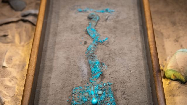 洛陽博物館+二里頭夏都遺址+大運河一日遊【包車|上門接駁】