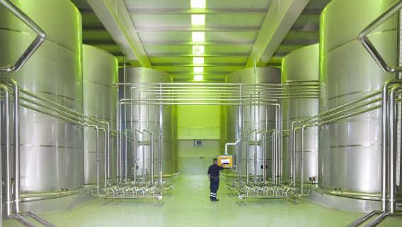 Jaén Discover the Secrets of Olive Oil: Tour & Tasting