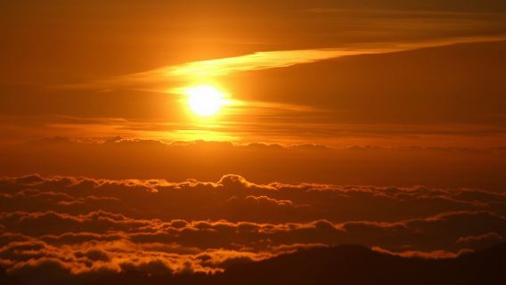 台灣阿里山國家風景區+日月潭日遊（三＊天兩＊晚）