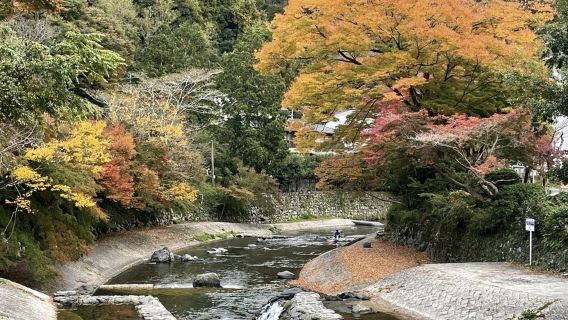 日本京都國立博物館-二條城-哲學之道【中文專車 舒適純淨】