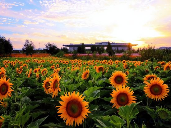 Others 5, Changbai Paradise Resort, Yanbian Korean