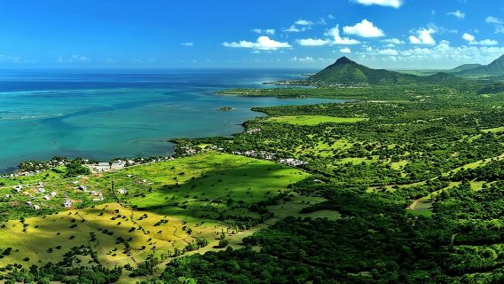 Ebony Forest Reserve Chamarel - Take a Hike Tour