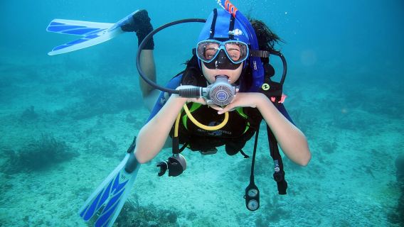 Diving Full Day 2 Stops Boat Trip For Beginners With Lunch and Transfer–Hurghada