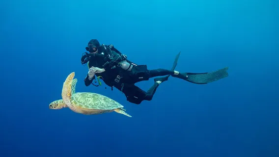 Tour lặn biển sâu 1 ngày tại Pattaya Thái Lan/Lặn biển sâu có chứng chỉ hoặc không/Lặn ống thở/Chứng nhận OW, AOW