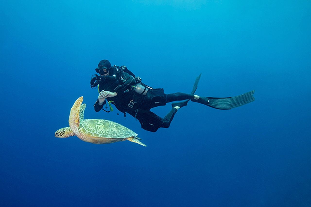 Deep diving one-day tour in Pattaya, Thailand / certified or uncertified deep diving / snorkeling / OW, AOW certification courses