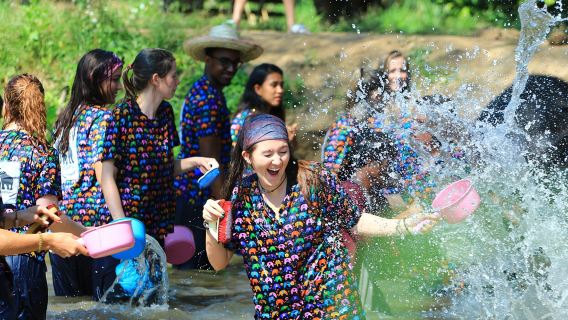 เชียงใหม่ EJS Elephant Jungle Sanctuary Charity Elephant Park รับส่งที่โรงแรมและค่ายอนุรักษ์ช้าง