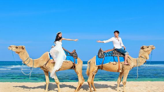 Camel Ride With Private Hotel Return Transfer!