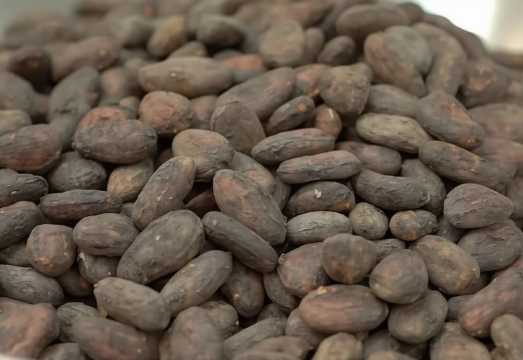 Janice Wong's Pure Bean to Bar Cocoa Chocolate Workshop