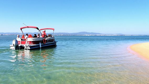 Ria Formosa Natural Park and Islands Boat Cruise from Faro