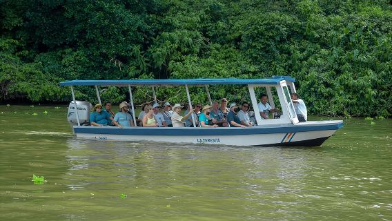 Private Tortuguero Canals Tour & Puerto Limón Highlights