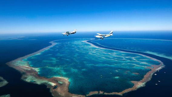 60-minute scenic flight over the Whitsunday Islands, overlooking Heart Reef and Whitehaven Beach
