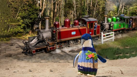 tour 1 ngày Melbourne bằng tàu hơi nước Puffing Billy và đảo Phillip