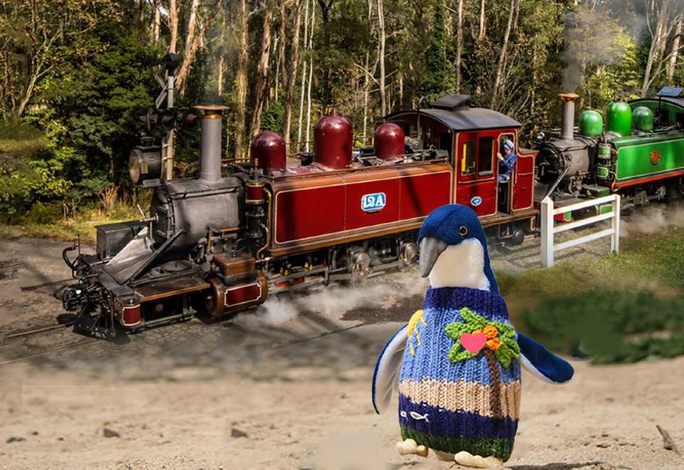 メルボルン パフィン・ビリー蒸気鉄道＋フィリップ島ペンギンパレード