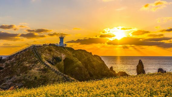韓國濟州島牛島一日遊【5大網紅景點】14人小團可選|城山涉地