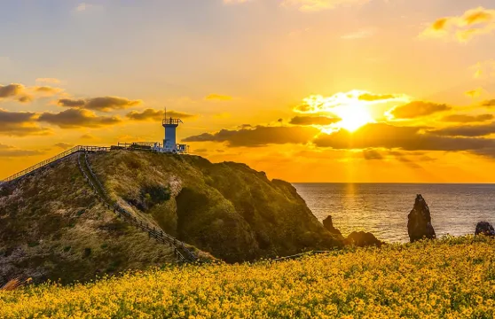 韓國濟州島牛島一日遊【5大網紅景點】14人小團可選|酒店接送