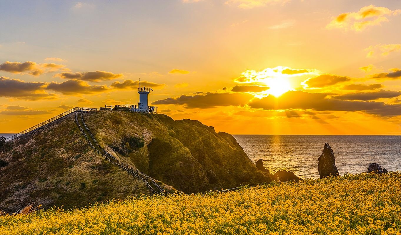 韓國濟州島牛島一日遊【5大網紅景點】14人小團可選|城山涉地