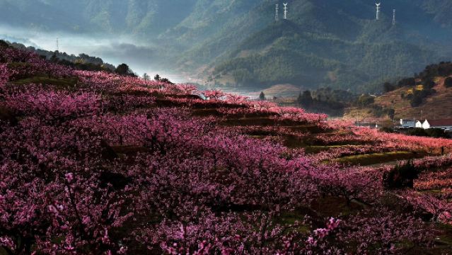 寧波溪口景區一日遊【蔣氏故居半日遊】