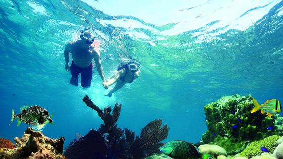 Key West Reef Snorkel – Morning Mimosas or Afternoon Margaritas