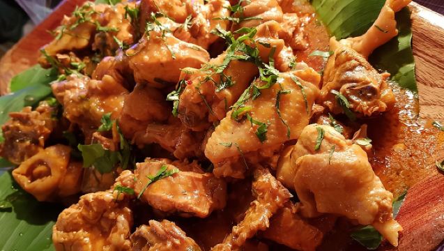 Dîner panaméen et ticket de spectacle/concert folklorique avec prise en charge