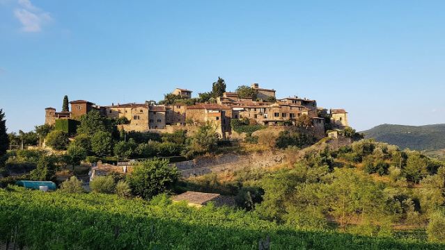 Montefioralle Winery - Tour and Wine Tasting in Chianti