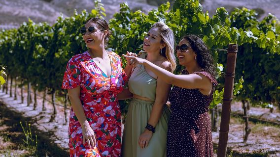 Solvang-SYV-Buellton'dan Öğle Yemeği ve Tadımlarla 3 Şarap Evi Turu