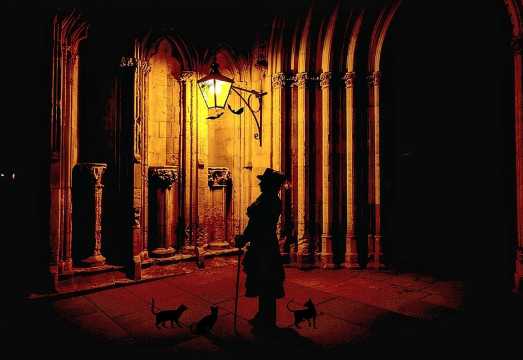 Shadows of York: Ghost Walk and Horrible History.