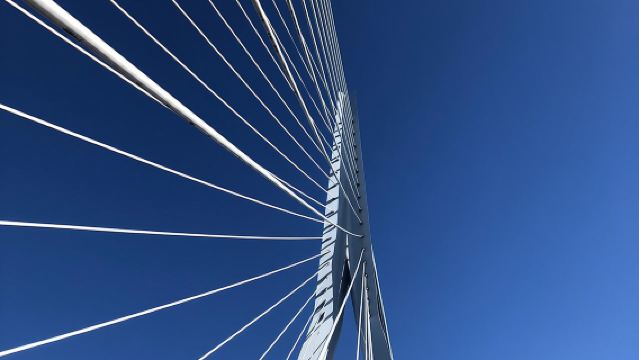 ทัวร์เดินชมสถาปัตยกรรมเด่นในรอตเตอร์ดัม