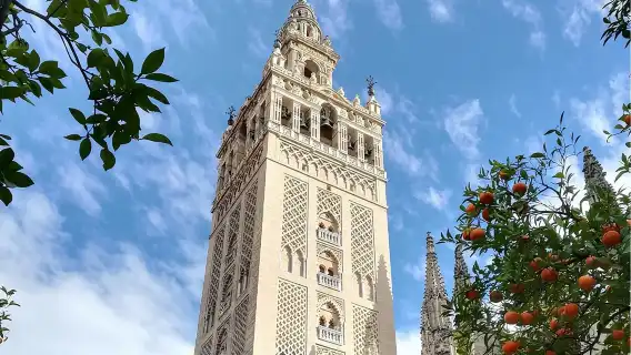 Small Group Tour to Cathedral and Giralda Direct Entrance
