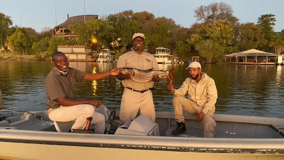 Cataratas Victoria: Safari de pesca de tigres en el río Chobe con almuerzo