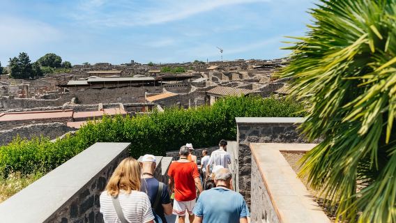 Từ Naples: Tour tham quan trong ngày đến tàn tích Pompeii và núi Vesuvius